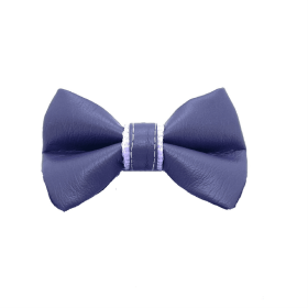 Orchid bow tie