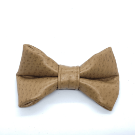 Cappuccino bow tie