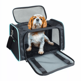 GOOPAWS Soft-Sided Kennel Pet Carrier for Small Dogs, Cats, Puppy, Airline Approved Cat Carriers Dog Carrier Collapsible, Travel Handbag & Car Seat (Color: Black / Blue, Option: Polyester, size: 19" x 12" x 12")