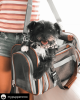 Mr. Peanut's Gold Series Big Apple Size Expandable Pet Carrier
