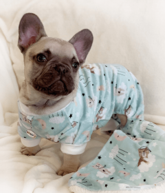 Ultra Soft Plush Minky Bedtime Bears Pajamas (Color: Green, Option: Polyester, size: XS)