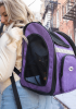 The Backpacker Pet Carrier