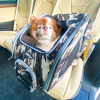 5-in-1 Pet Carrier