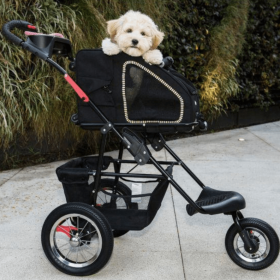 5-in-1 Pet Carrier (Color: Sunset Strip, size: )